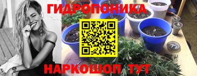 ALPHA PVP Пугачёв