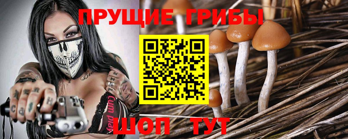 Псилоцибиновые грибы мицелий  Вход с VPN  Сальск 