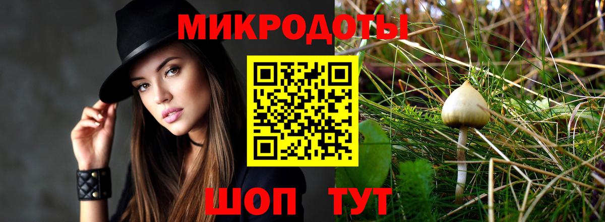 Галлюциногенные грибы Psilocybine cubensis Сальск